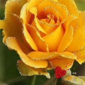 Meet your Posher, Alicia